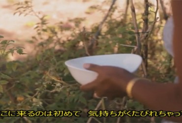 Le Documentaire "La Maison de Vies" version japonaise