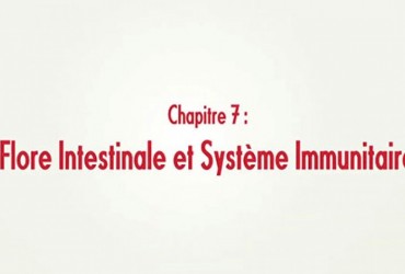 La Nutrition - la Flore Intestinale et le Système Immunitaire