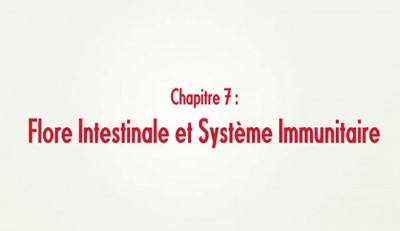 La Nutrition - la Flore Intestinale et le Système Immunitaire